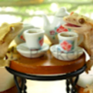 Meet your Posher, Rose